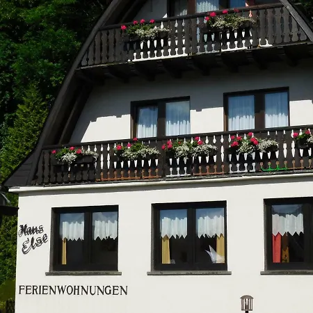 Haus Else * Willingen (Upland)