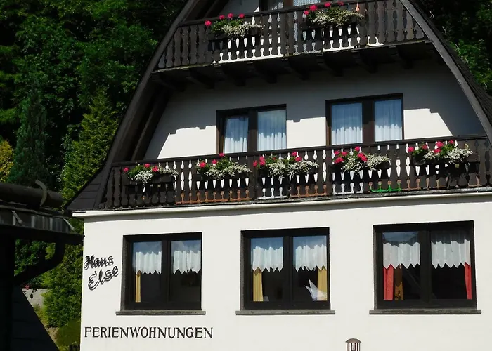 Haus Else * Willingen (Upland)